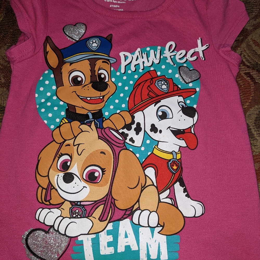 Nickelodeon girls paw patrol shirt!